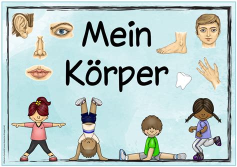 Mein Körper